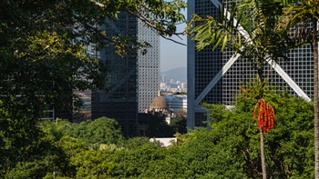At various positions throughout the park views of the city provides glimpses of the built heritage of Hong Kong. The 100-year-old former Legco Building (Old Supreme Court Building) and the Lion Rock Hill in Kowloon can be seen between the modern skyscrapers of the Bank of China and ICBC Tower framed by the different species of trees within the Park.
